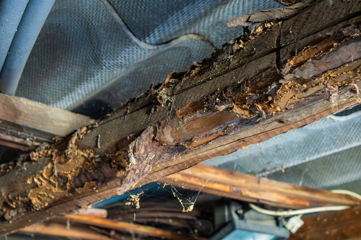 Water damage restoration service and leak repair showing rotted structural beam fixed by Just Ask Home Improvement in Toledo, Ohio
